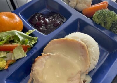 Turkey and mashed potatoes with gravy and salad